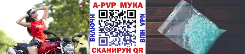Alpha-PVP СК  Купить закладки  Звенигово 