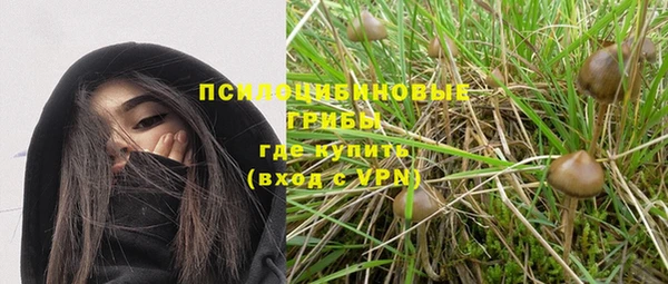 сатива Вязьма