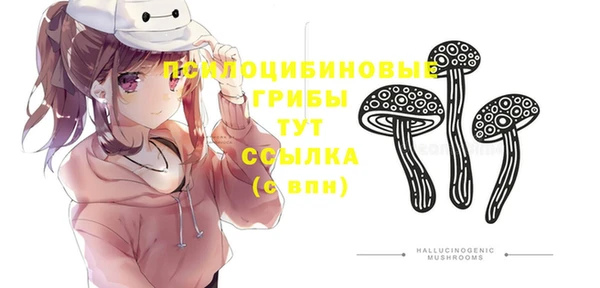 сатива Вязьма