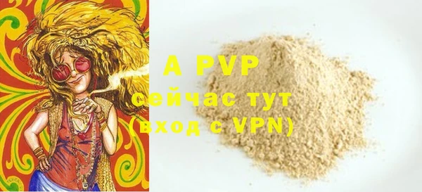 гашик Бабаево