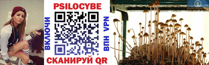 Купить Звенигово Галлюциногенные грибы мухоморы